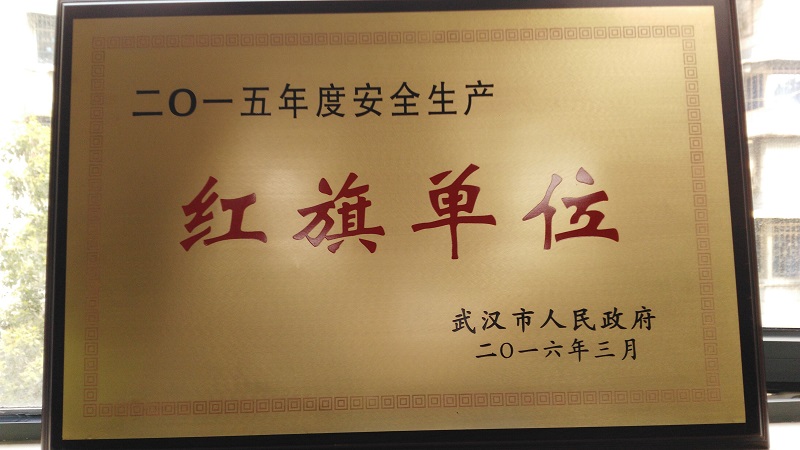 商務(wù)區(qū)集團榮獲武漢市2015年度安全生產(chǎn)紅旗單位