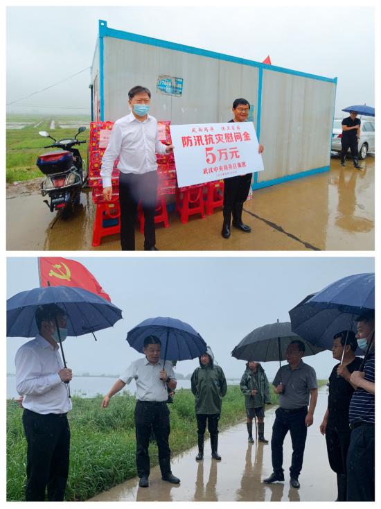 商務區(qū)集團領導到蔡甸區(qū)對口 扶貧點開展防汛慰問活動