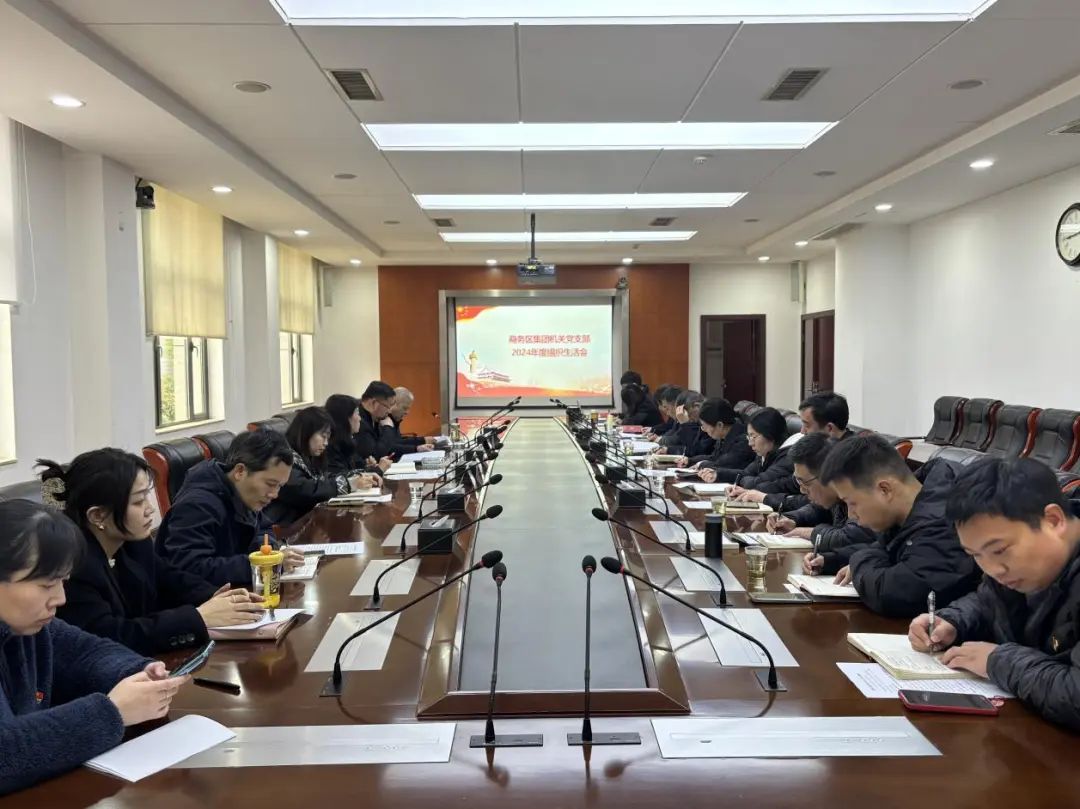 商務(wù)區(qū)集團(tuán)機(jī)關(guān)黨支部召開(kāi)2024年度組織生活會(huì)